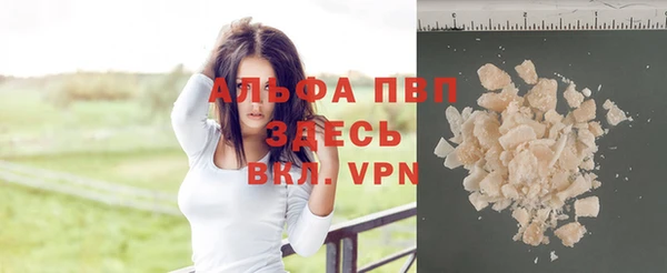 дживик Арсеньев