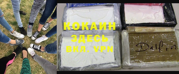 дживик Арсеньев