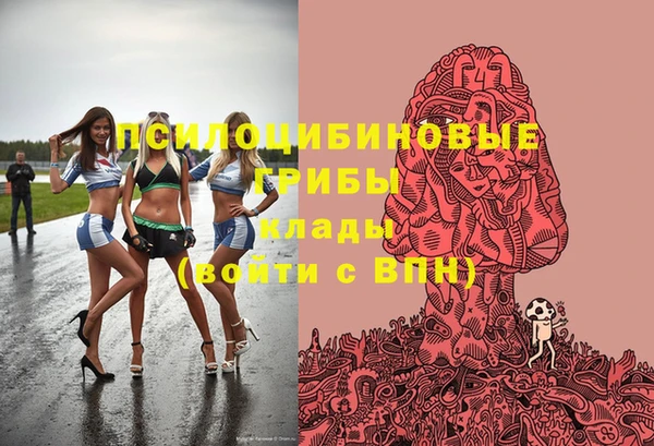дживик Арсеньев