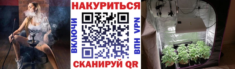 МАРИХУАНА OG Kush Уяр